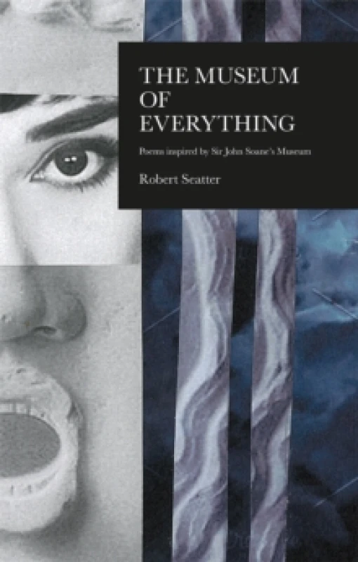 Image of The House of Everything : Poems Inspired by Sir John Soane's Museum Paperback / softback