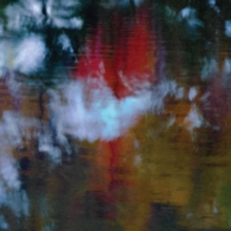 Image of An Offering Vinyl