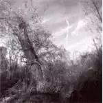 Image of Harvey Milk - Small Turn Of Human Kindness, A (Music CD)