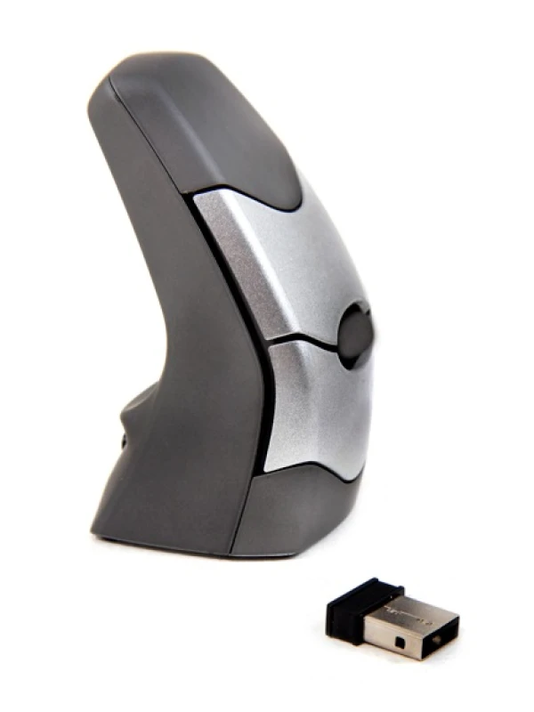 Image of DXT Mouse The ergonomically designed rechargeable DXT02W Wireless Prec
