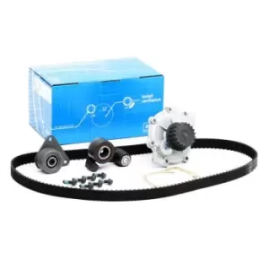 Image of SKF Water Pump + Timing Belt Kit RENAULT,VOLVO VKMC 06602 1371753,1388504,6G9N8591AA 6M5G6M250AA,7438610006,7438610035,7438630590,7439135036,1271851