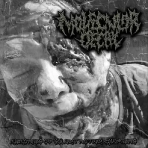 Image of Memories of Violent Rotten Chapters by Molecular Decay CD Album