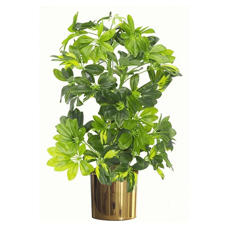 Image of Leaf Design 75cm Artificial Arboricola Gold Capella Plant with Gold Metal Planter