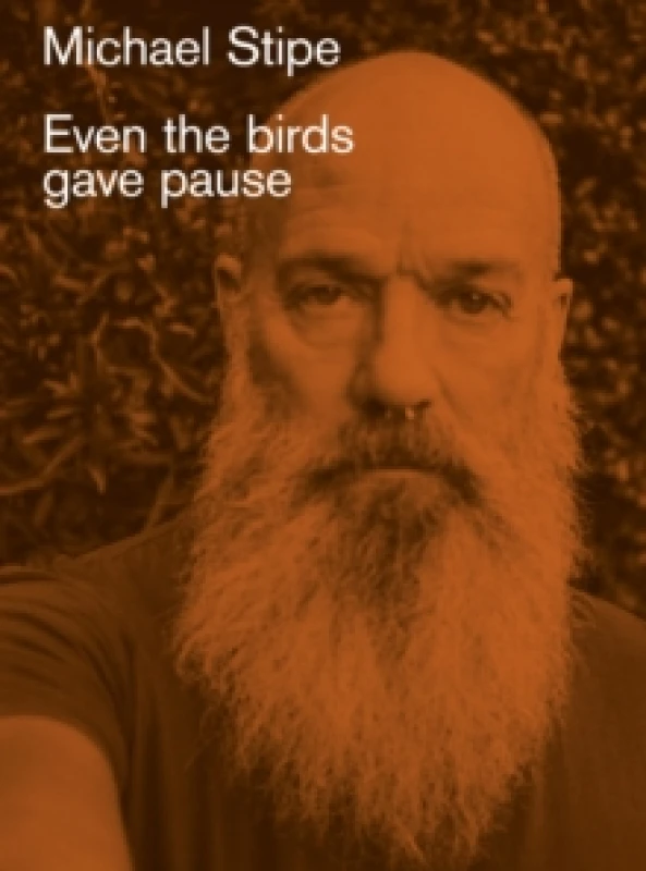 Image of Michael Stipe: Even the birds gave pause Hardback