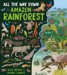 Image of All The Way Down: Amazon Rainforest
