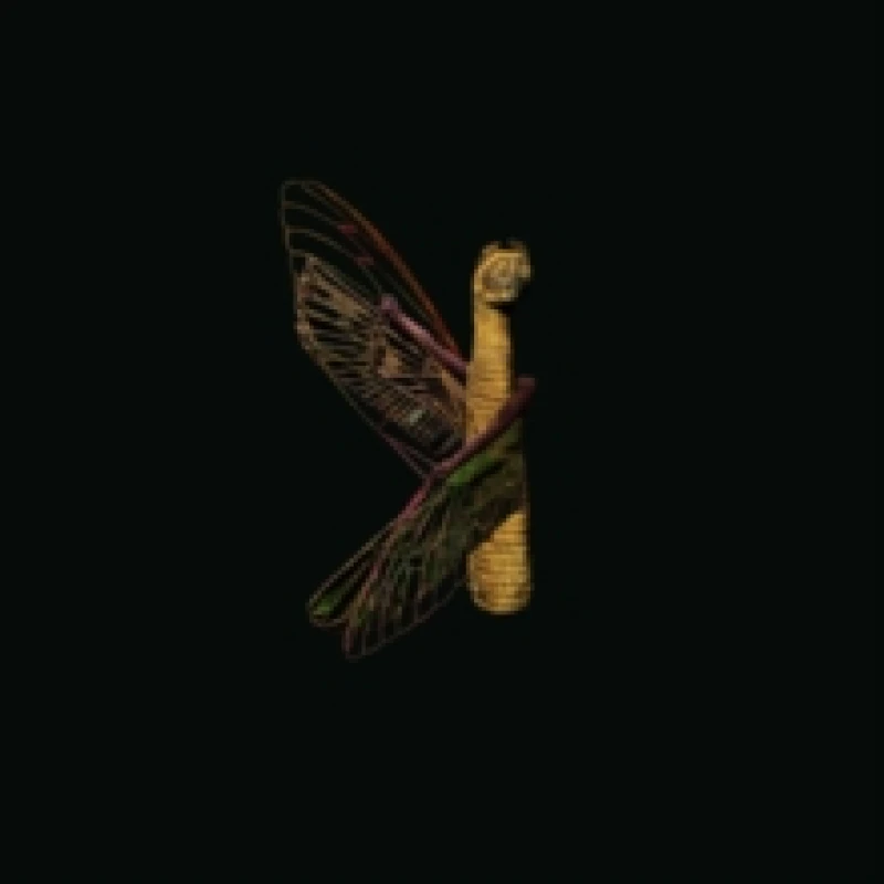 Image of Maurice Louca - Saet El-Hazz (The Luck Hour) [CD / Album] Music CDs - Music CD