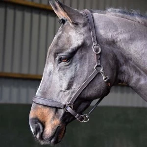 Image of John Whitaker Ready to Ride Headcollar - Havana
