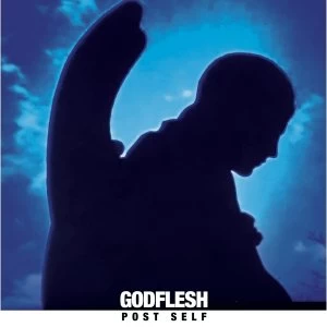 Image of Godflesh - Post Self Vinyl