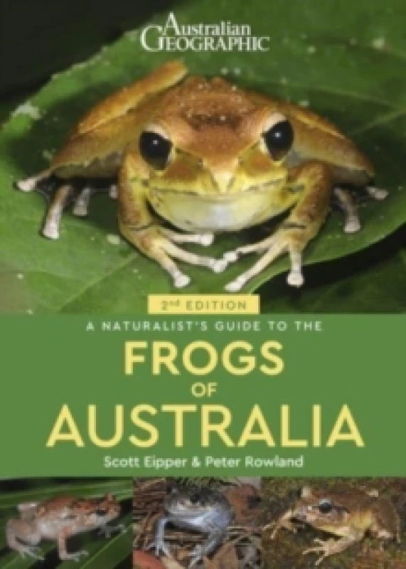 Image of A Naturalist's Guide to the Frogs of Australia (2nd) Paperback / softback