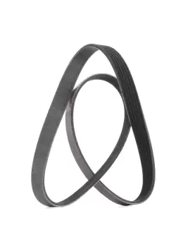 Image of RIDEX PLUS V-ribbed belt VW,AUDI,MERCEDES-BENZ 305P0056P 03L903137G,03L903137T,11287838200 9675874480,9805463680,9615208280,K9615208280,9615208280