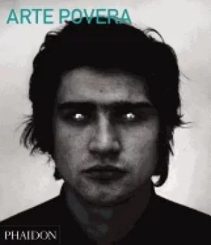 Image of arte povera abridged edition