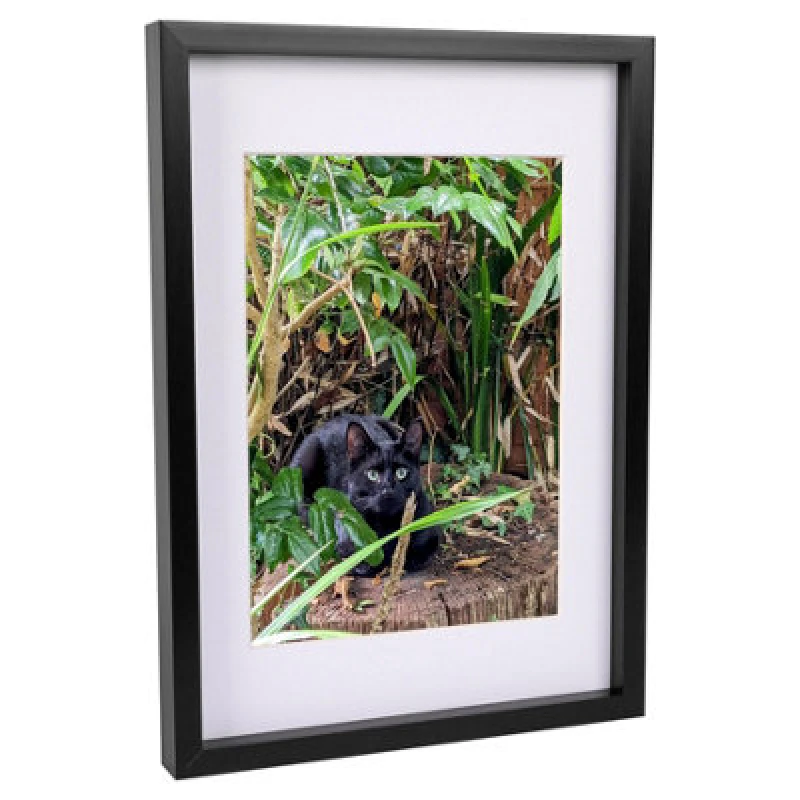 Image of Nicola Spring 3D Box Photo Frame With A4 Mount - A3 (12" X 17") - Black/white