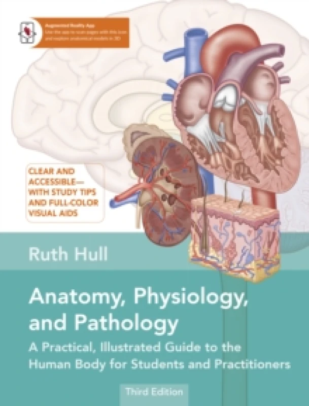 Image of Anatomy, Physiology, and Pathology : A Practical, Illustrated Guide to the Human Body for Students and Practitioners Paperback / softback