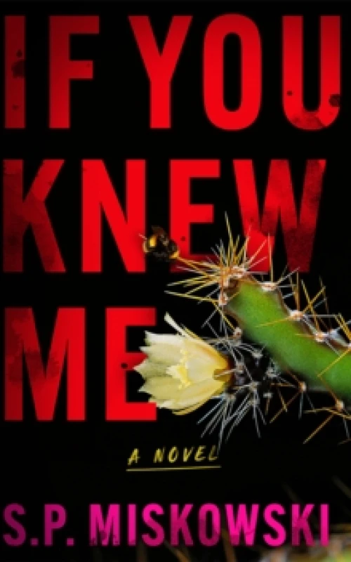 Image of If You Knew Me : A Novel Paperback / softback