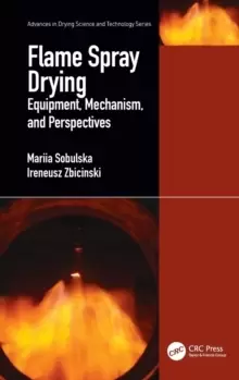 Image of Flame Spray Drying : Equipment, Mechanism, and Perspectives