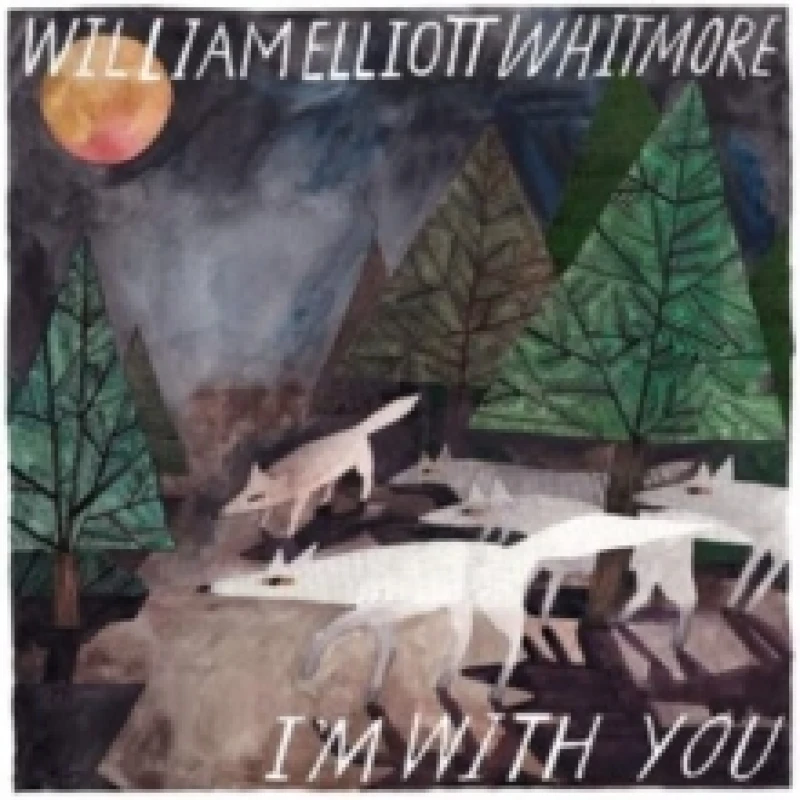 Image of I'm With You Vinyl
