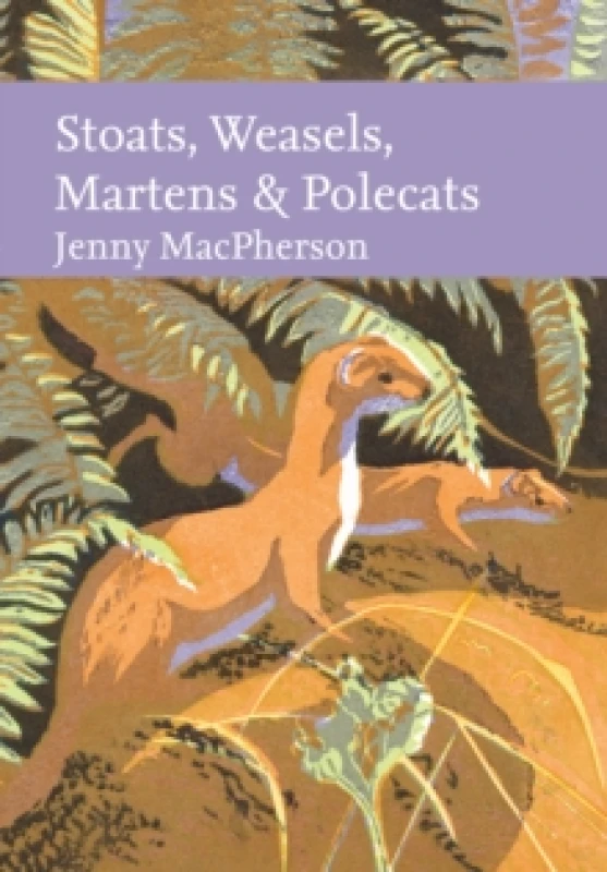 Image of Stoats, Weasels, Martens & Polecats. Hardback. By Jenny MacPherson Books