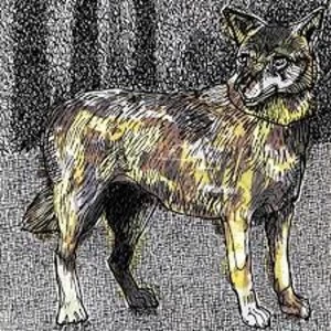 Image of Vegyn - Janhui Vinyl