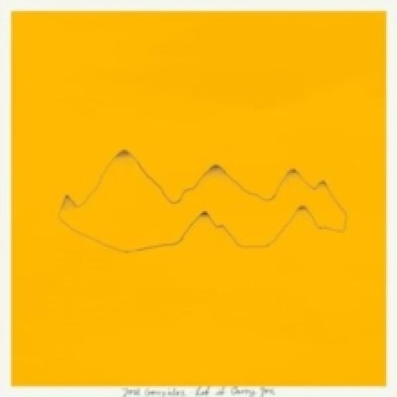 Image of Let It Carry You (Remixes) Vinyl