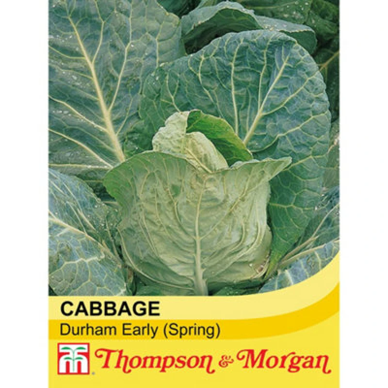 Image of Thompson & Morgan Cabbage Durham Early 1 Seed Packet (300 Seeds)