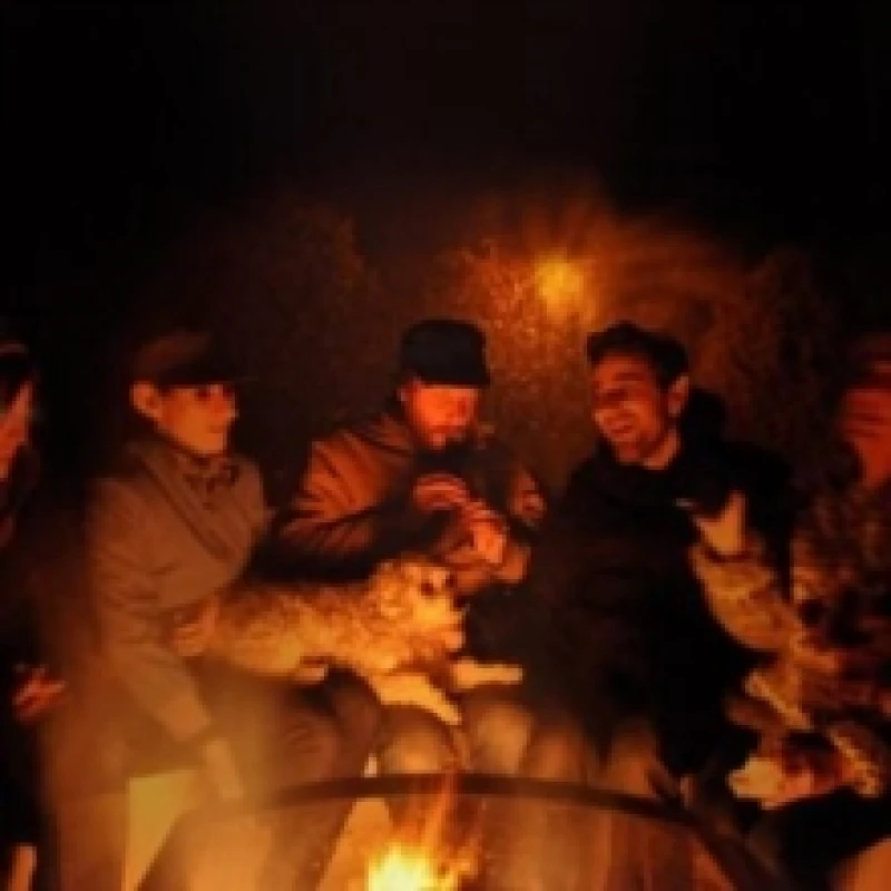 Image of Golden Embers Vinyl