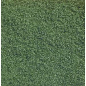 Image of NOCH 07204 Flockage Medium green