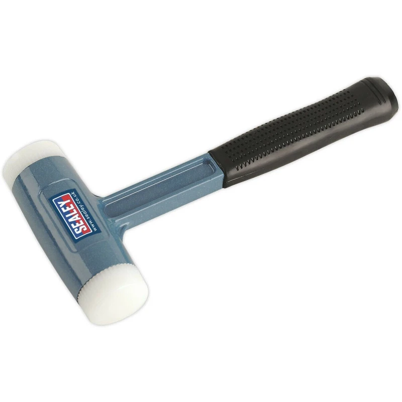 Image of Loops 2.5lb Nylon Faced Dead Blow Hammer - Absorbent Rubber Grip - Steel Shot Metallics