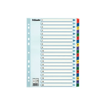 Image of Mylar 1-20 Part Dividers A4 - Multi-coloured - Outer Carton of 10