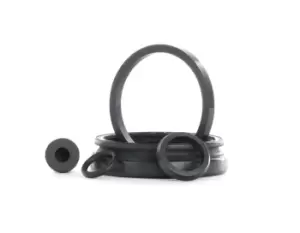 Image of RIDEX Brake Caliper Repair Kit 405R0078 Caliper Repair Kit,Brake Caliper Rebuild Kit VW,AUDI,FORD,POLO (9N_)