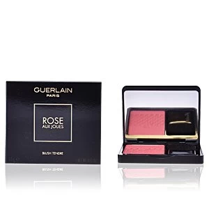 Image of ROSE AUX JOUES blush tendre #02-chic pink