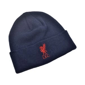 Image of Liverpool Liverbird Knitted Turn Up Hat Navy Red