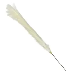 Image of Pampas White