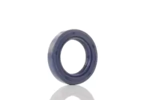 Image of REINZ Camshaft Seal 81-53224-00 Shaft Seal, camshaft HONDA,ROVER,CIVIC VII Hatchback (EU, EP, EV),CIVIC VI Hatchback (EJ, EK),CRX III (EH, EG)