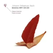 Image of Johann Sebastian Bach: Motetten, BWV 225-230