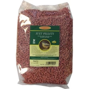 Image of Robert Dyas Johnston and Jeff Suet Pellets - 2KG