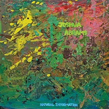 Image of Joshua Abrams - Natural Information Vinyl
