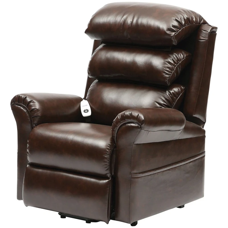 Image of Loops Wall Hugging Rise and Recline Lounge Chair - Wipe Clean PU Leather - Chestnut Multi