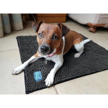 Image of Microfibre Noodle Pet Mat - Xlarge - 40755 - Henry Wag