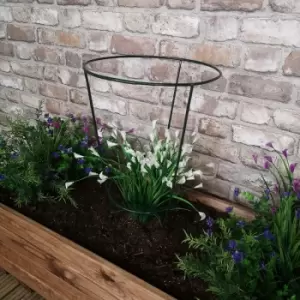 Image of Samuel Alexander - Tom Chambers Urban Green Conical Garden Plant Support Ring 30cm - Medium