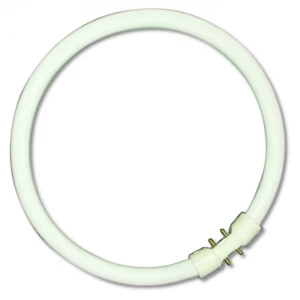 Image of Bell 40W CFL T5 2GX13 Circular Bulb - Daylight