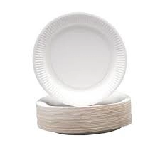 Image of Disposable 230mm Paper Plates 1 x Pack of 100