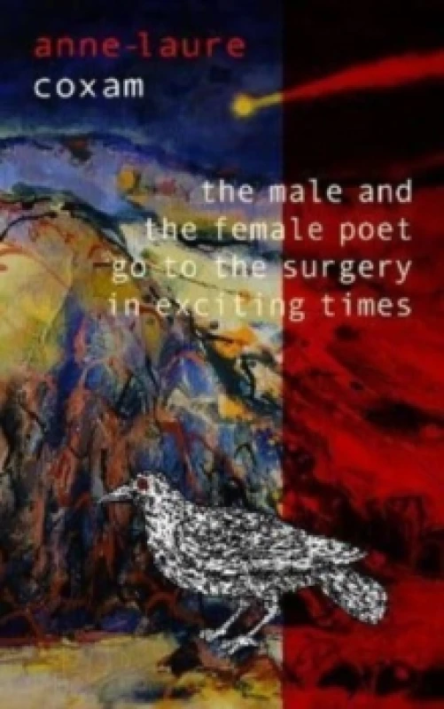 Image of The Male and the Female Poet Go to the Surgery in Exciting Times : and Other Poems Paperback / softback