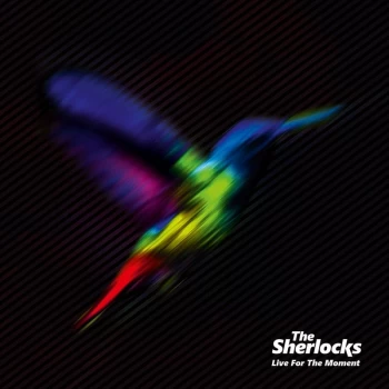 Image of The Sherlocks - Live for the Moment Vinyl