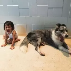 Image of The Endless Shimmering by And So I Watch You From Afar Vinyl Album