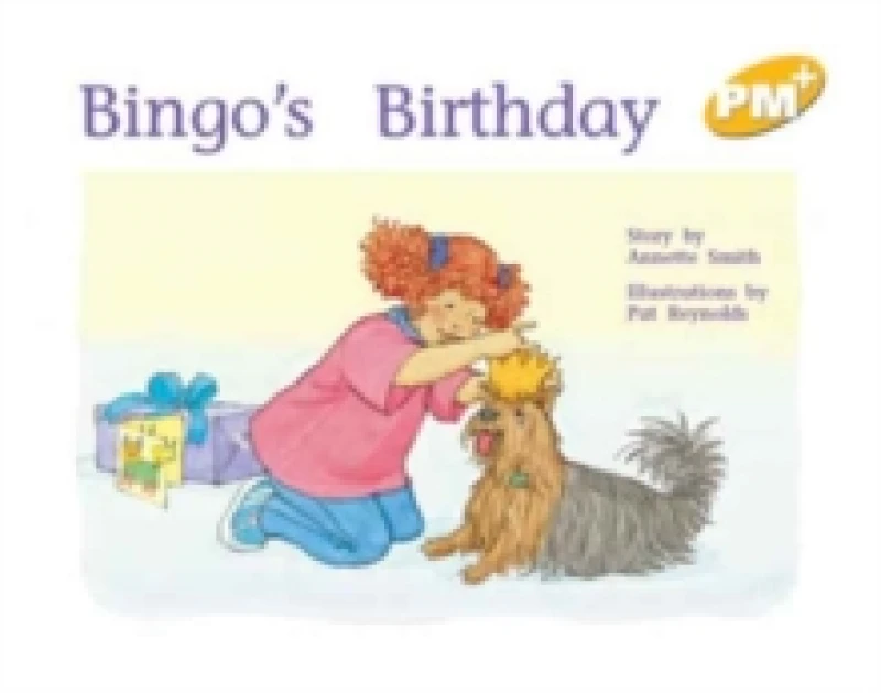 Image of Bingo's Birthday - Paperback - Used