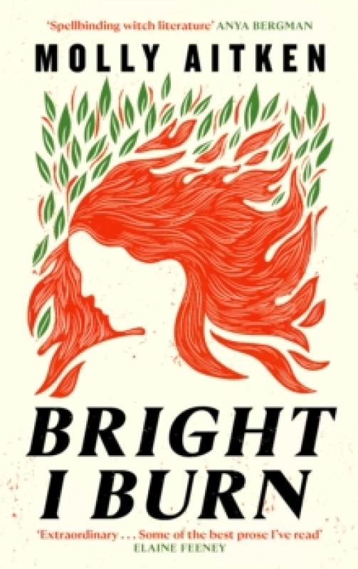 Image of Bright I Burn Hardback