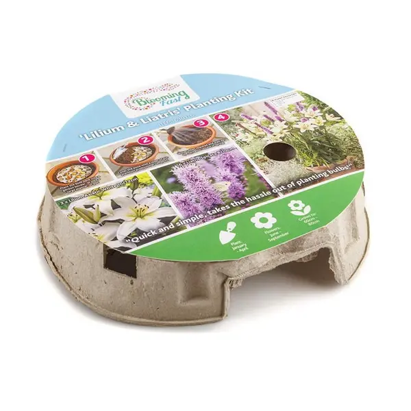 Image of YouGarden Plant-O-Mat Lilium and Liatris Kit 1 pack Multi 40853499001