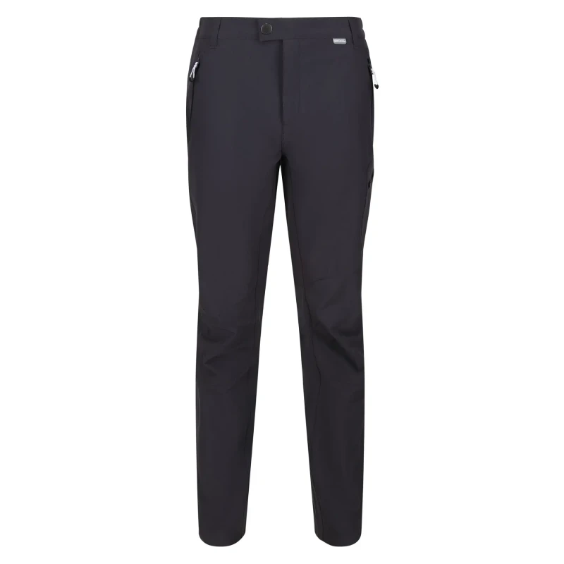 Image of Hiking Trousers Regatta Highton Gris Male 54 Tall