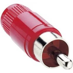 Image of RCA connector Plug straight Number of pins 2 Red Lumberg STO 1