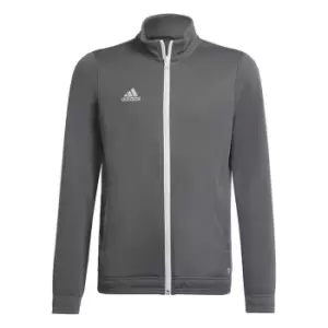 Image of adidas ENT22 Track Jacket Juniors - Grey